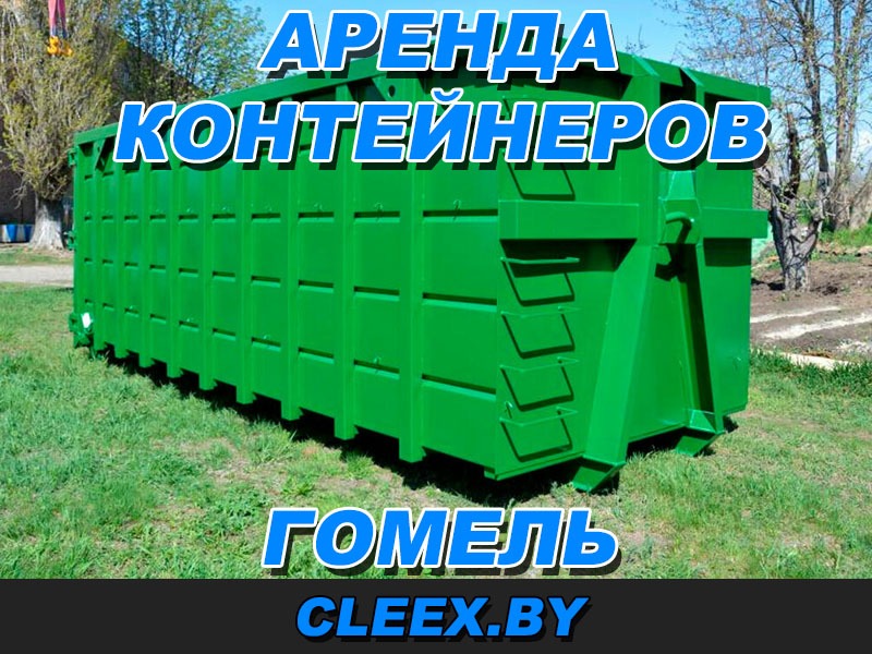 Услуги по аренде контейнеров для мусора в Гомеле и Гомельской области