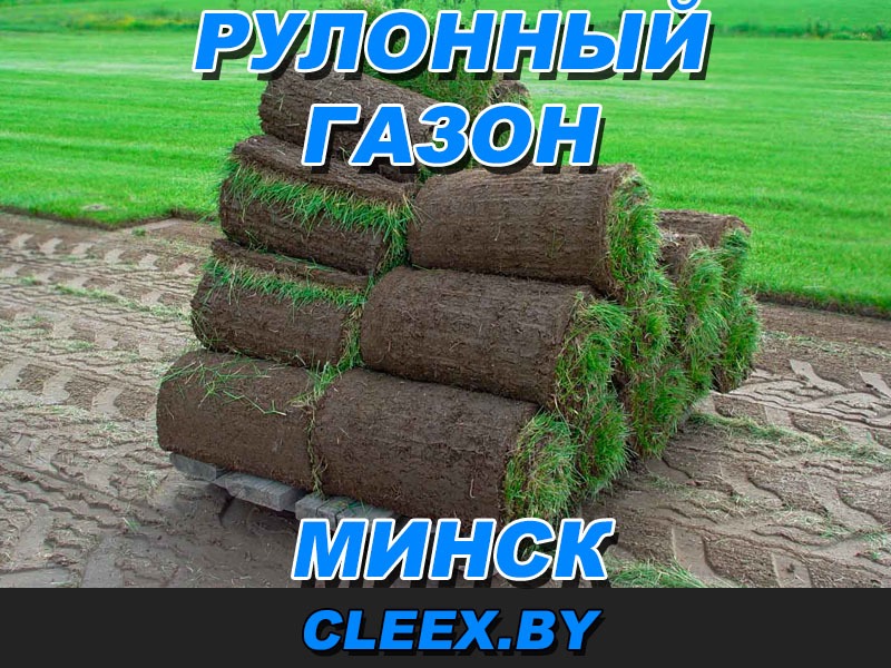 Рулонный газон Минск. Постелить рулонный газон в Минске.