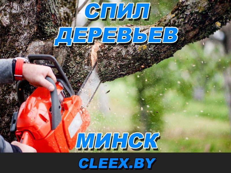 Спил трудных деревьев в Минске и Минской области.