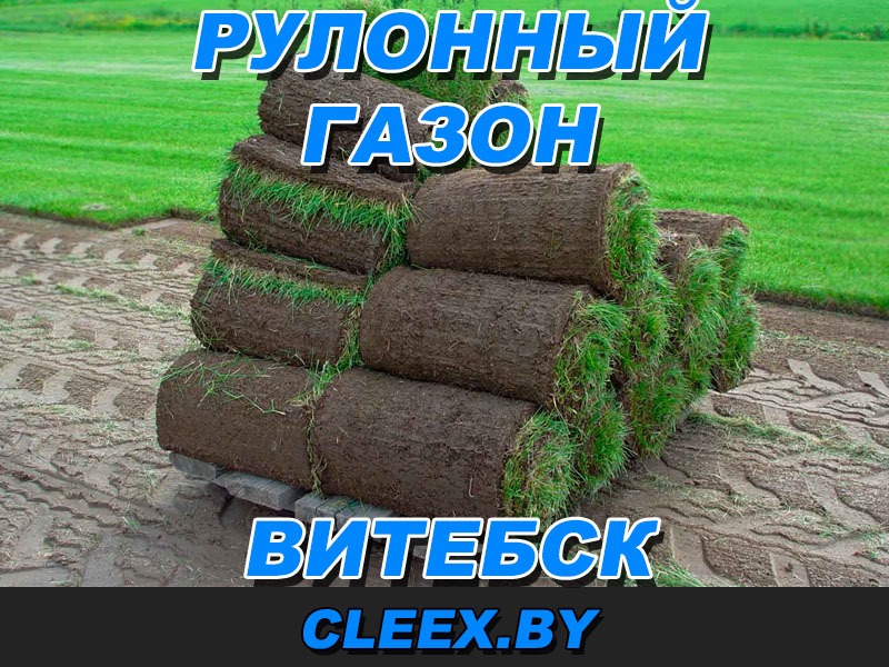 Рулонный газон в Витебске. Рулонный газон — это быстро, красиво и удобно. Кроме того — это самый быстрый способ превратить неухоженную лужайку в газон