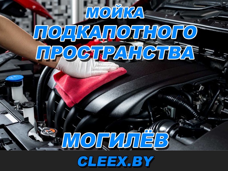 Мойка двигателя в Могилёве- наиболее безопасная и деликатная процедура по очистке мотора. Загрязнения удаляются на 100%. Звоните!