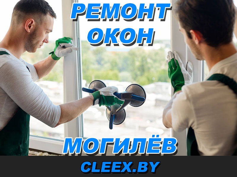 Услуги по ремонту окон и дверей в Могилёве