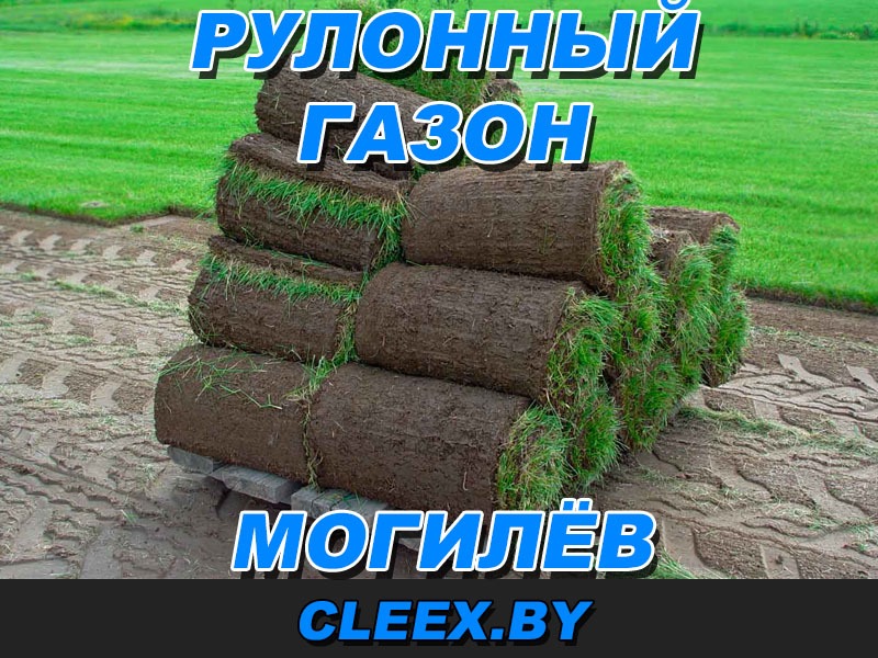 Рулонный газон в Могилёве. Рулонный газон — это быстро, красиво и удобно. Кроме того — это самый быстрый способ превратить неухоженную лужайку в газон.