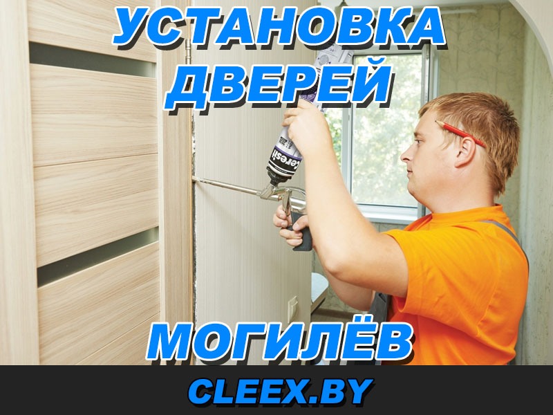 Устанавливаем и ремонтируем входные двери в Могилёве и Могилёвской области любого класса защиты. От бюджетных отечественных до премиальных.