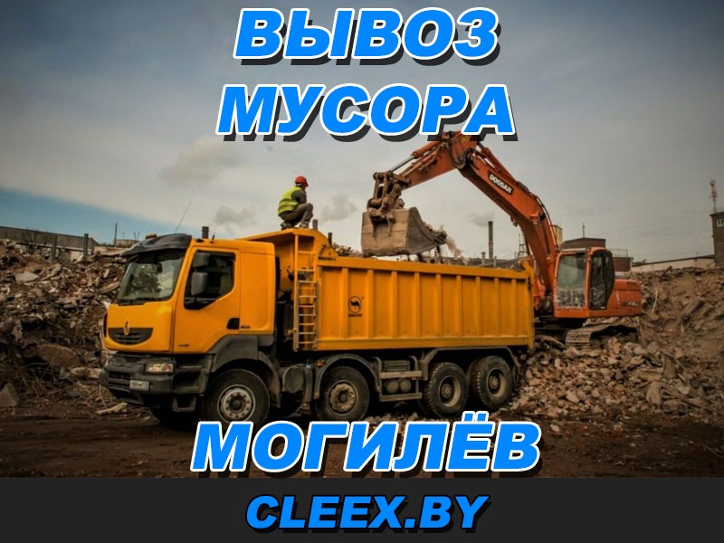 Услуги по вывозу строительного мусора в Могилёве