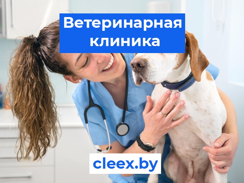 Ветеринарная клиника. Мы предлагаем полный спектр услуг: стерилизация(кастрация), лечение, вакцинация и профилактика для ваших питомцев. Запишитесь на прием прямо сейчас! ✅